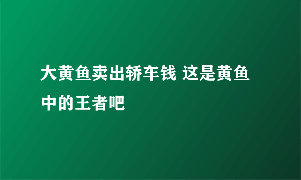 大黄鱼卖出轿车钱 这是黄鱼中的王者吧