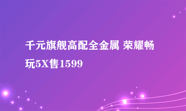 千元旗舰高配全金属 荣耀畅玩5X售1599