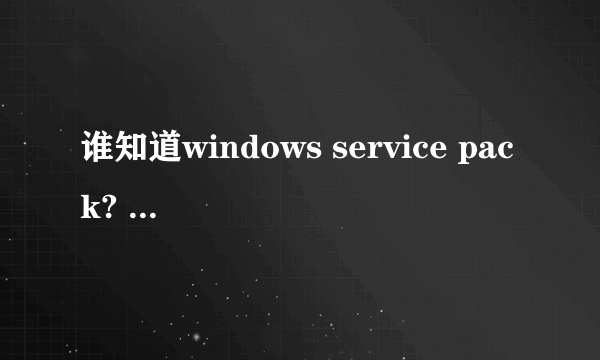 谁知道windows service pack? 在哪下载？