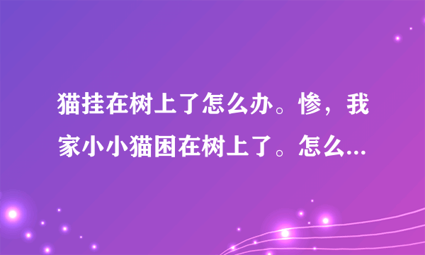 猫挂在树上了怎么办。惨，我家小小猫困在树上了。怎么办呢？119，没人管。唉。快一天了，怎么办呢