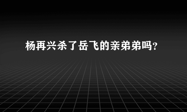 杨再兴杀了岳飞的亲弟弟吗？