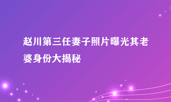 赵川第三任妻子照片曝光其老婆身份大揭秘