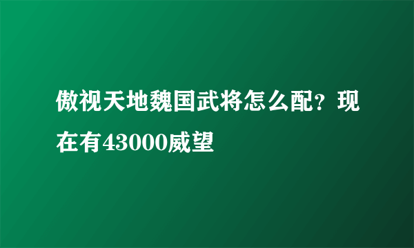 傲视天地魏国武将怎么配？现在有43000威望