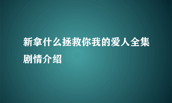 新拿什么拯救你我的爱人全集剧情介绍