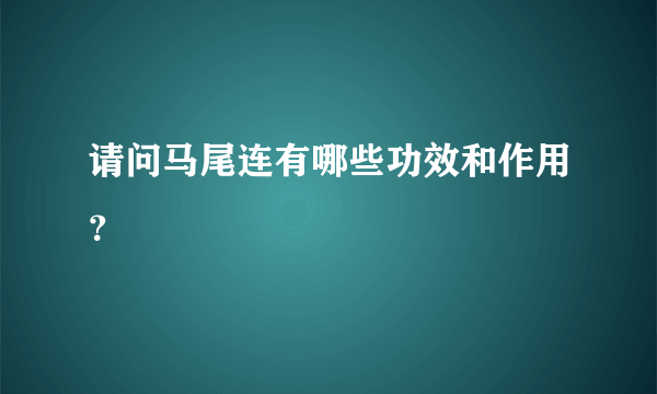 请问马尾连有哪些功效和作用？