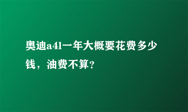 奥迪a4l一年大概要花费多少钱，油费不算？