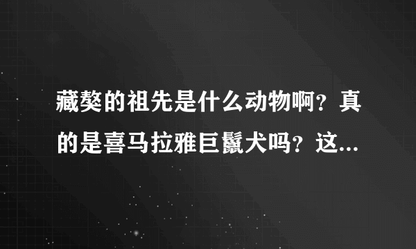 藏獒的祖先是什么动物啊？真的是喜马拉雅巨鬣犬吗？这是什么动物啊？给资料