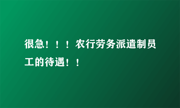 很急！！！农行劳务派遣制员工的待遇！！