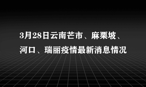 3月28日云南芒市、麻栗坡、河口、瑞丽疫情最新消息情况