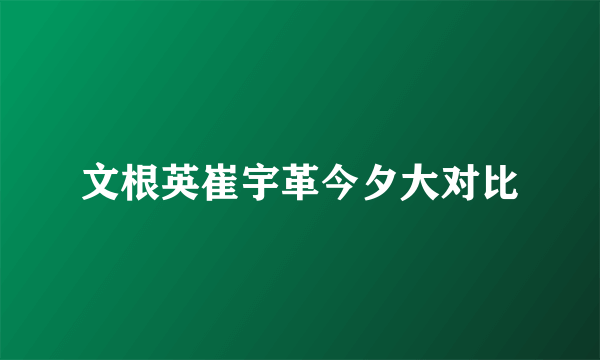 文根英崔宇革今夕大对比