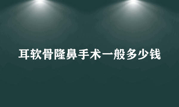 耳软骨隆鼻手术一般多少钱