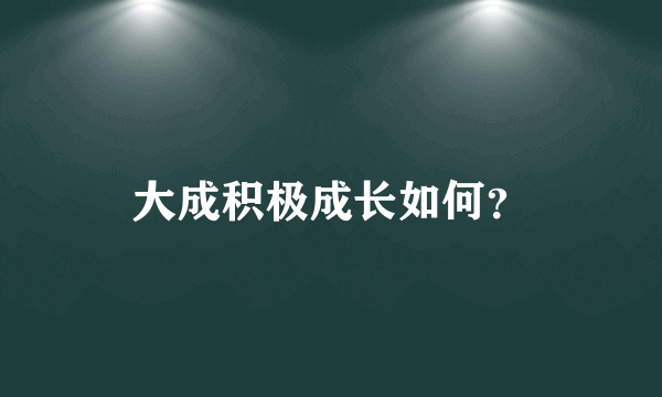 大成积极成长如何？