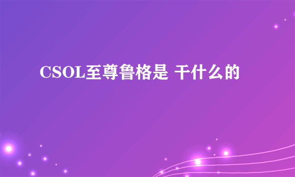 CSOL至尊鲁格是 干什么的