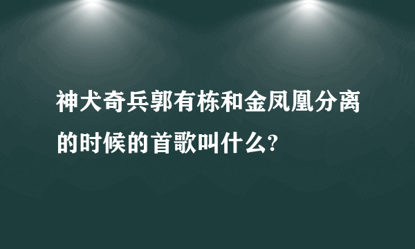 神犬奇兵郭有栋和金凤凰分离的时候的首歌叫什么?