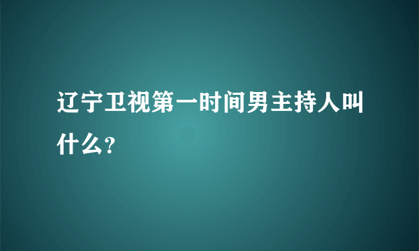 辽宁卫视第一时间男主持人叫什么？