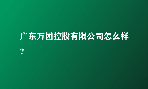 广东万团控股有限公司怎么样？