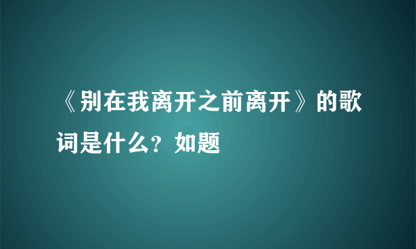 《别在我离开之前离开》的歌词是什么？如题