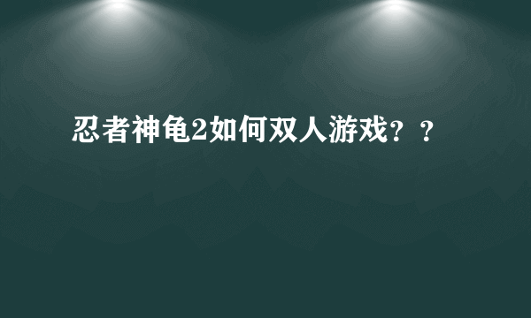 忍者神龟2如何双人游戏？？