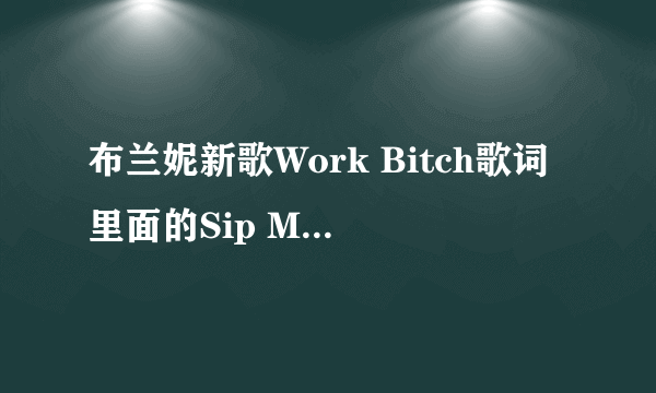 布兰妮新歌Work Bitch歌词里面的Sip Marinis是什么意思