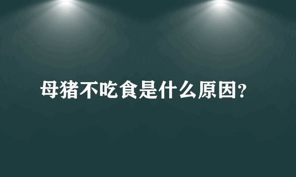 母猪不吃食是什么原因？