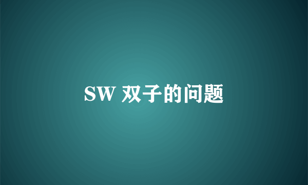 SW 双子的问题