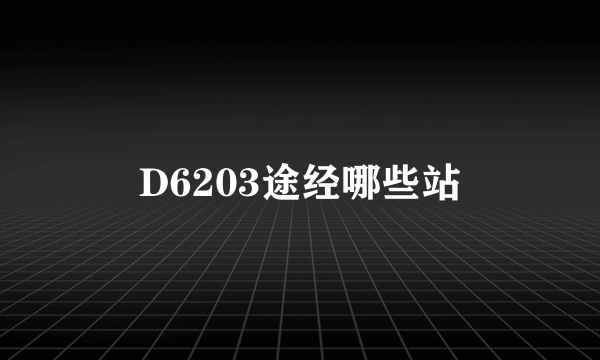 D6203途经哪些站