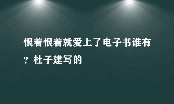 恨着恨着就爱上了电子书谁有？杜子建写的