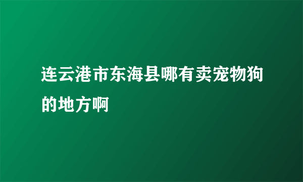 连云港市东海县哪有卖宠物狗的地方啊