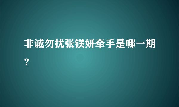 非诚勿扰张镁妍牵手是哪一期？