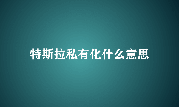 特斯拉私有化什么意思