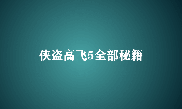 侠盗高飞5全部秘籍