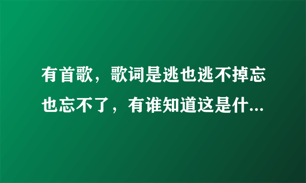 有首歌，歌词是逃也逃不掉忘也忘不了，有谁知道这是什么歌吗？