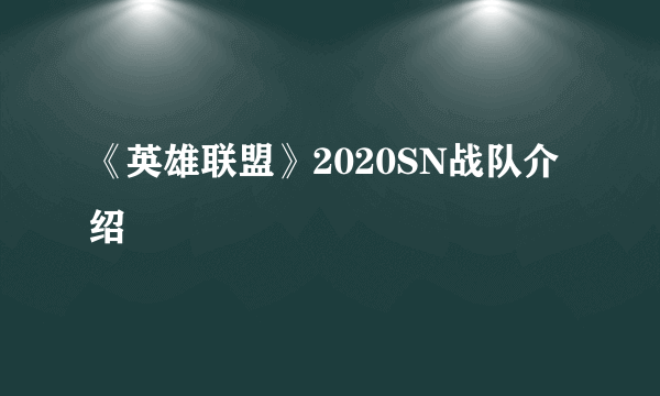 《英雄联盟》2020SN战队介绍