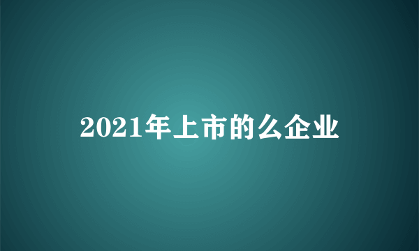 2021年上市的么企业