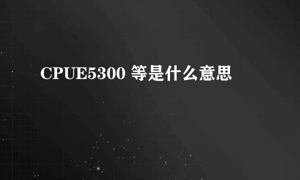 CPUE5300 等是什么意思