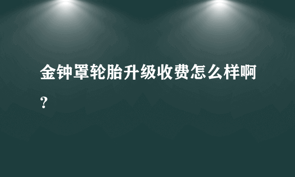 金钟罩轮胎升级收费怎么样啊？