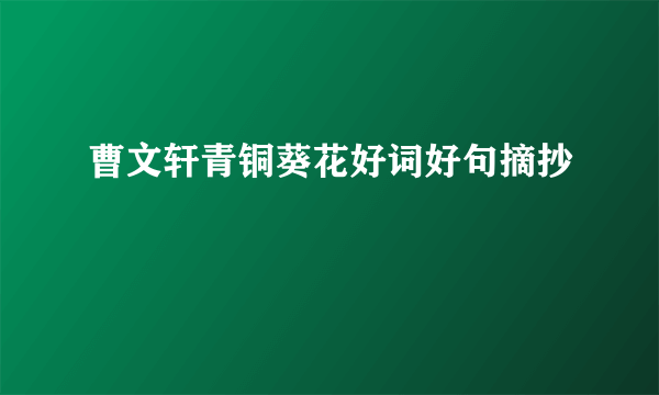 曹文轩青铜葵花好词好句摘抄