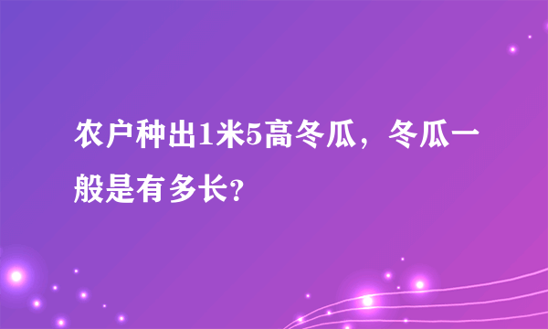 农户种出1米5高冬瓜，冬瓜一般是有多长？