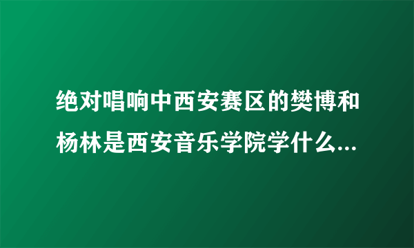 绝对唱响中西安赛区的樊博和杨林是西安音乐学院学什么专业的?