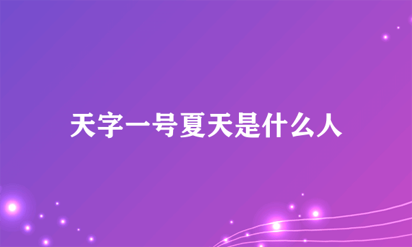 天字一号夏天是什么人