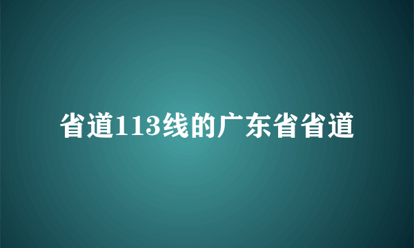 省道113线的广东省省道