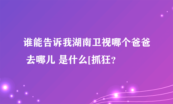 谁能告诉我湖南卫视哪个爸爸 去哪儿 是什么[抓狂？