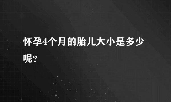 怀孕4个月的胎儿大小是多少呢？