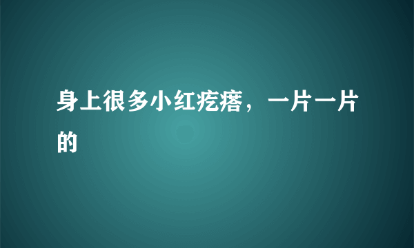 身上很多小红疙瘩，一片一片的