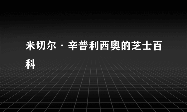 米切尔·辛普利西奥的芝士百科