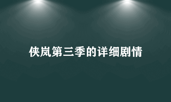 侠岚第三季的详细剧情