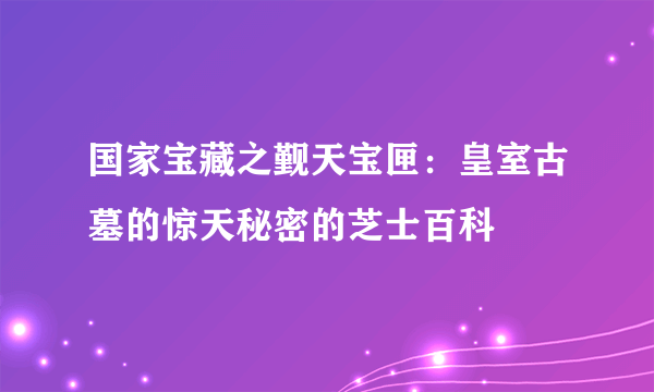 国家宝藏之觐天宝匣：皇室古墓的惊天秘密的芝士百科