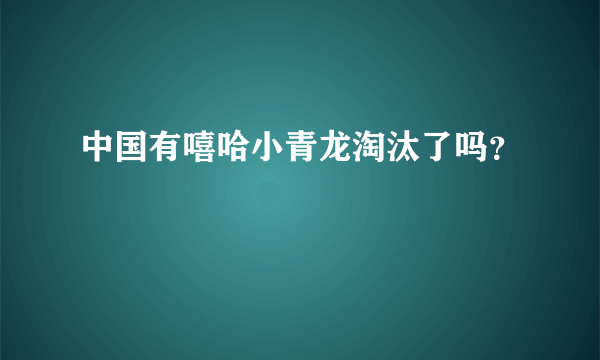 中国有嘻哈小青龙淘汰了吗？