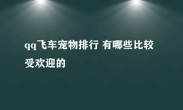 qq飞车宠物排行 有哪些比较受欢迎的