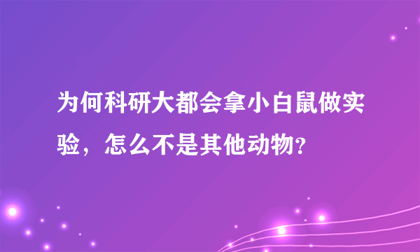 为何科研大都会拿小白鼠做实验，怎么不是其他动物？